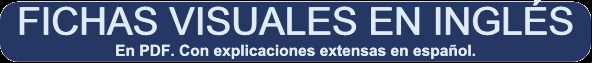 Fichas visuales en ingl